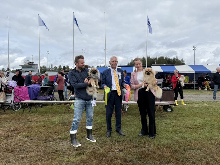 VSP-jun. Vionan Jewels My Lucky Lady & ROP-jun. Cloudberry Season’s Thunderstorm
