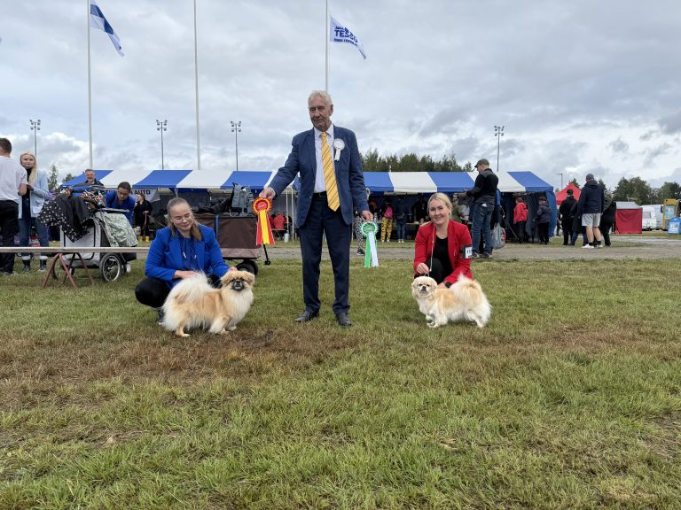 ROP My Minds Deja Vu & VSP Shanhearts Blessed