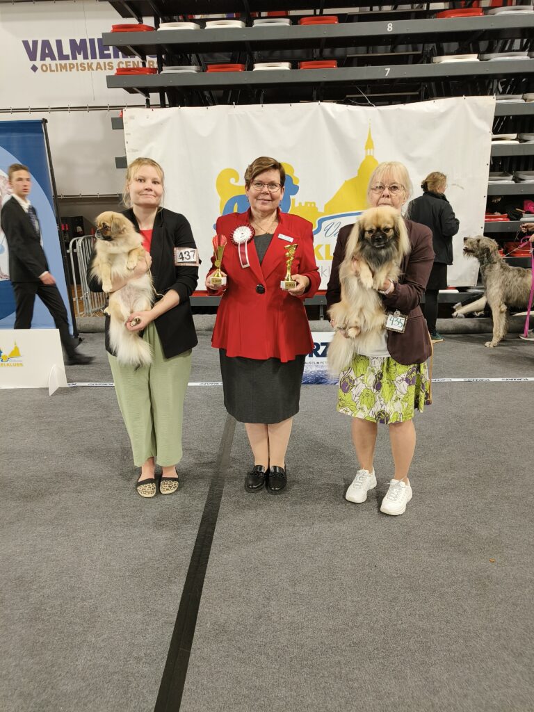 ROP Yawiles Fine Dreams & VSP Saffron Caifen