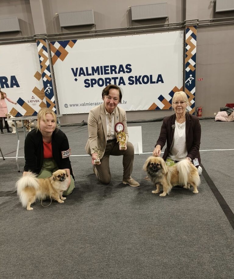 VSP Yawiles Fine Dreams & ROP Saffron Caifen