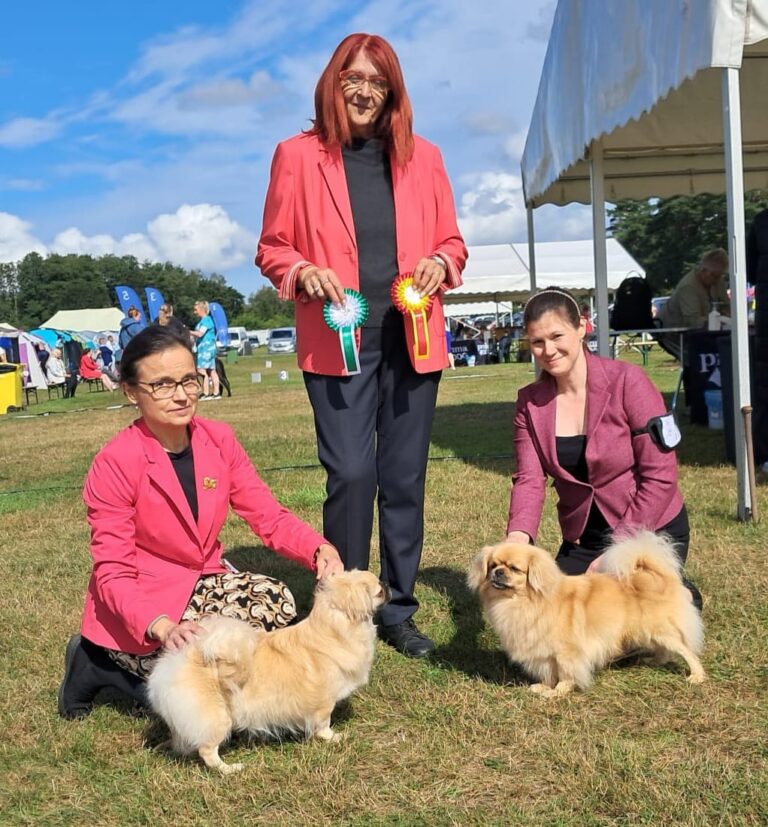 ROP Shibazhan Olea & VSP Shibazhan Carpanthea