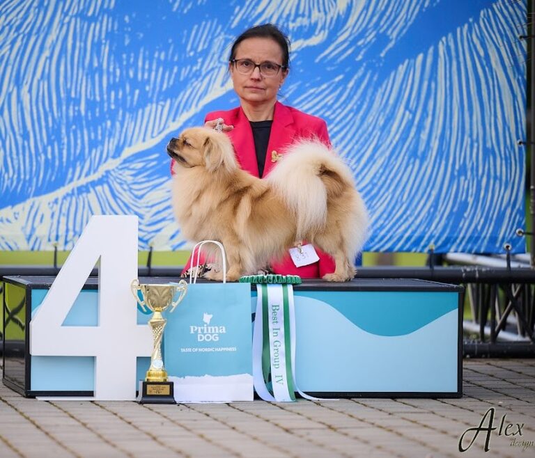 ROP ROP-vet. BIS-4 Shibazhan Olea