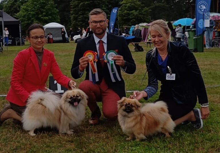 ROP Shibazhan Gunnera & VSP Shibazhan Gloriosa