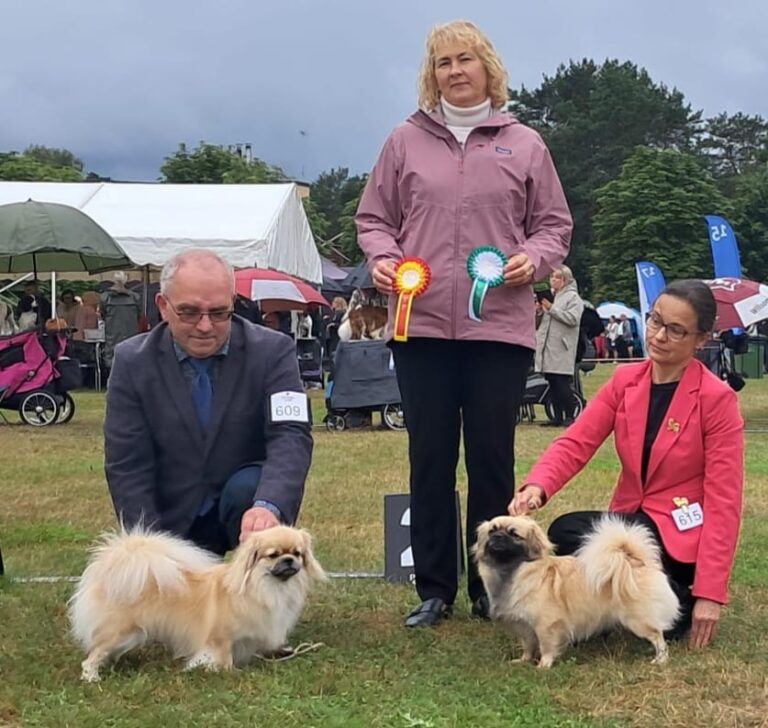ROP Riffendahl Qasimir Quentino & VSP Shibazhan Ursinia