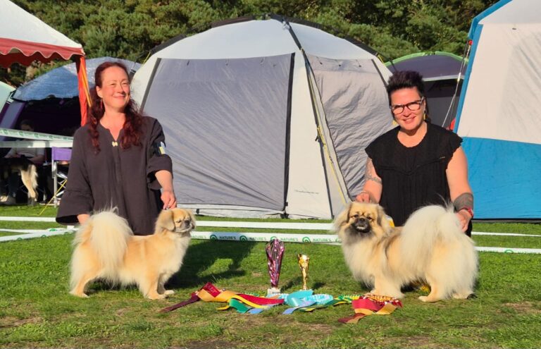 ROP Dawana Unni Ilona & VSP Skaidikurun Basse-Beaivi