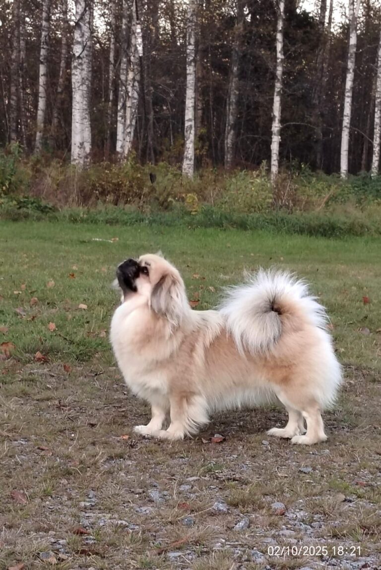 Vionan Jewels Sound of Love