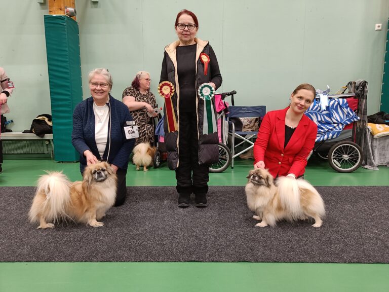 ROP-vet. Kiiramanna Never Make You Cry & VSP-vet. Shandita's Queen Of Love