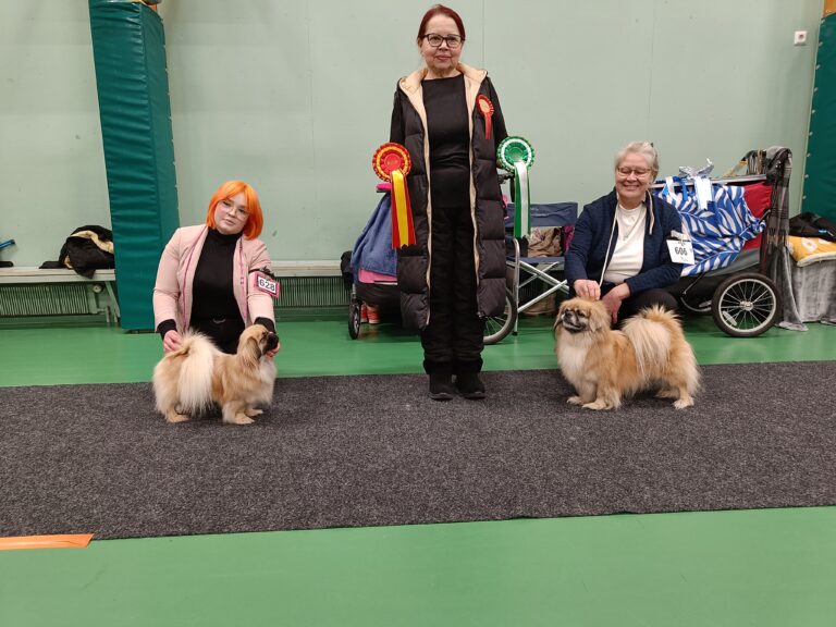 ROP Curious Paw's Last Beautiful Chance & VSP Kiiramanna Never Make You Cry