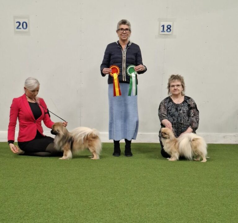 ROP Xaramae Image & VSP Fyrrykyrön Pramia Balleriina