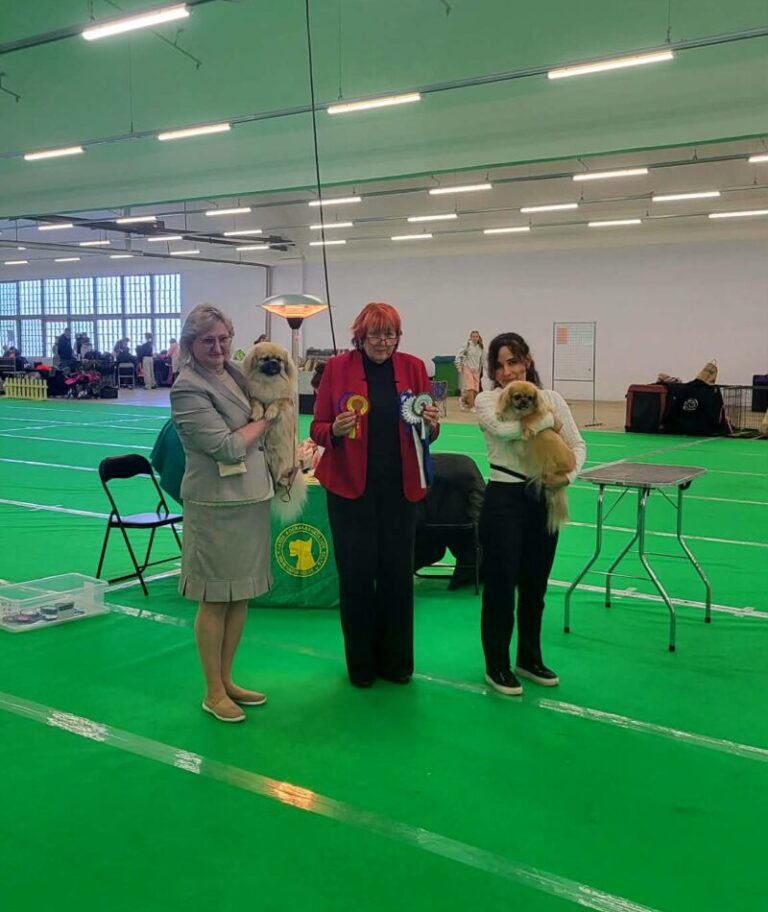 ROP Brill Padme Santa`s Reindeer Rudolph ja VSP Tib-Sak Blueberry Cake