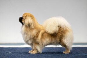 Afire's Banksy Was Here