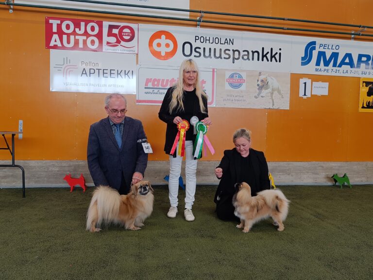 ROP Kiiramanna Never Make You Cry & VSP Skaidikurun Dag-Drøm