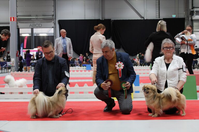 ROP-vet. Qi Gong's Nicki Minaj & VSP-vet. Olazza Maybach