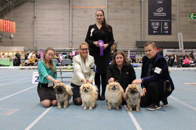 ROP-Kasv. kennel FLYING CARPET'S