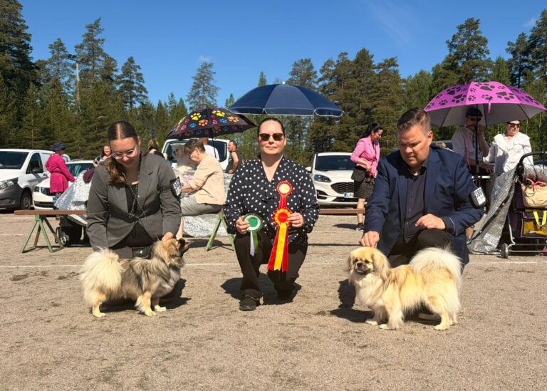 VSP Flying Carpet's Circus Buffoonery & ROP Qi Gong's Magic Mike