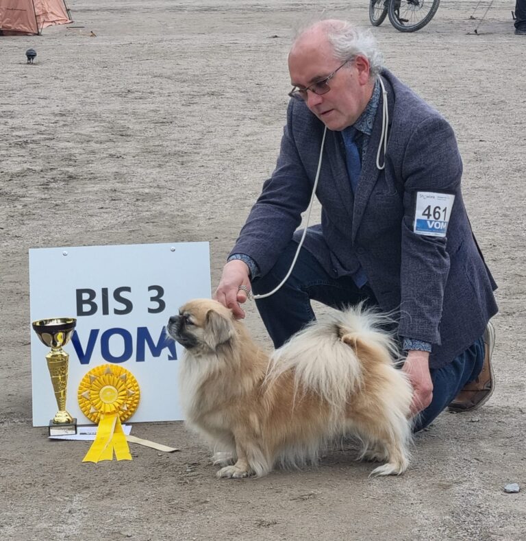 BIS-3 vet. Kiiramanna Never Make You Cry