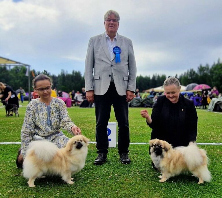ROP-jun. Shibazhan Myosotis & VSP-jun. Benevolos Love Of My Life