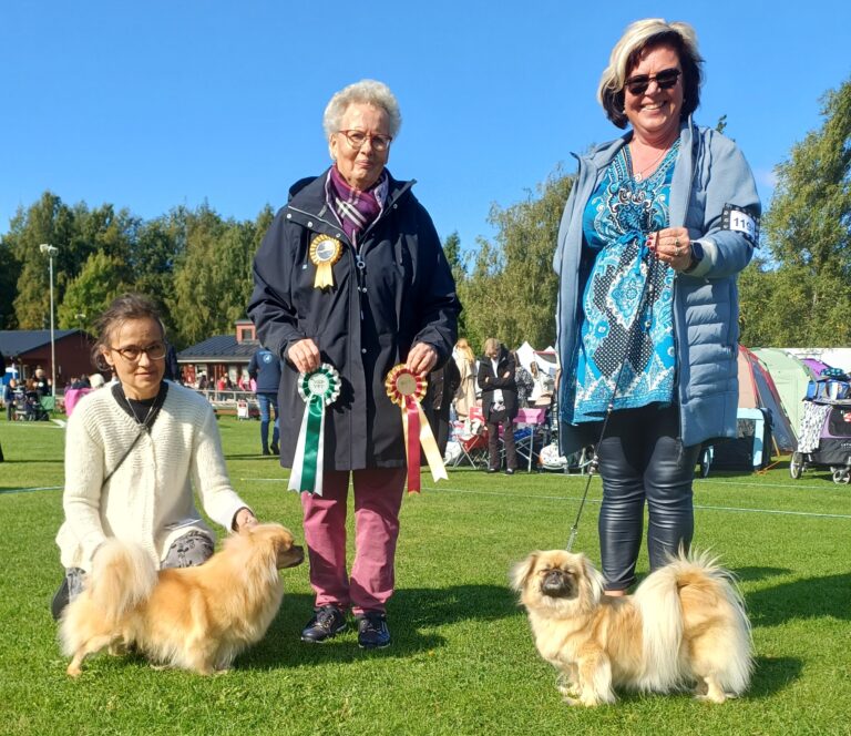 VSP-vet. Shibazhan Olea & ROP-vet. Mintoscan Wonder Woman